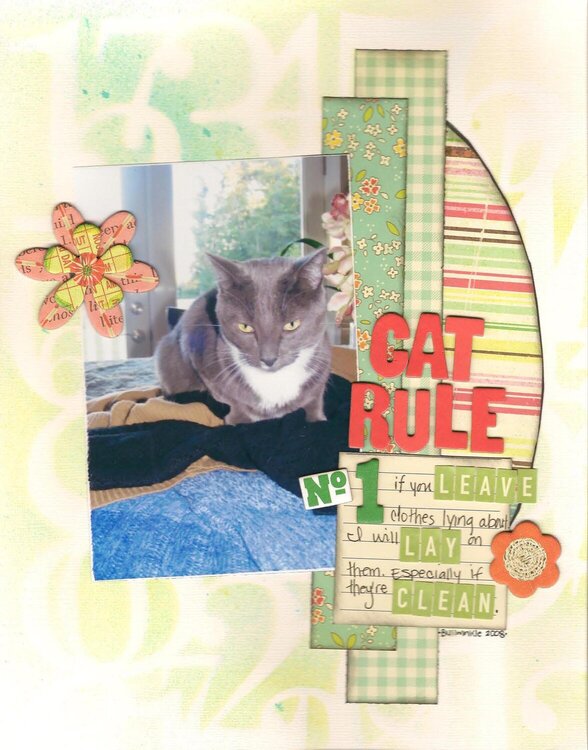 cat rule #1