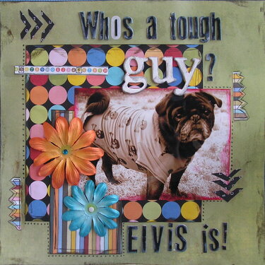 Who&#039;s a tough guy?  Elvis is!