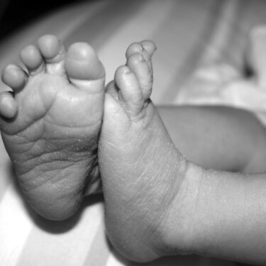 Little Toes