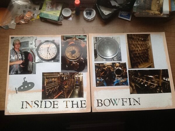 Inside the Bowfin