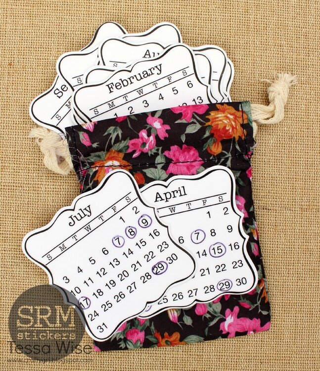 Mini Planner Calendar in a Bag! by Tessa Wise