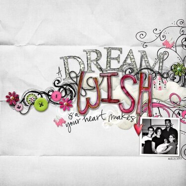 ~ a dream is a wish ~