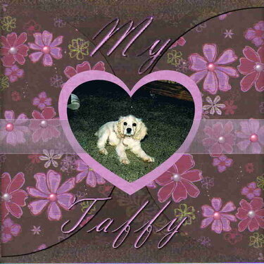 My Taffy (puppy)