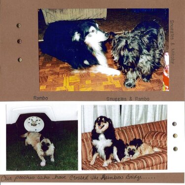 Past Pooches