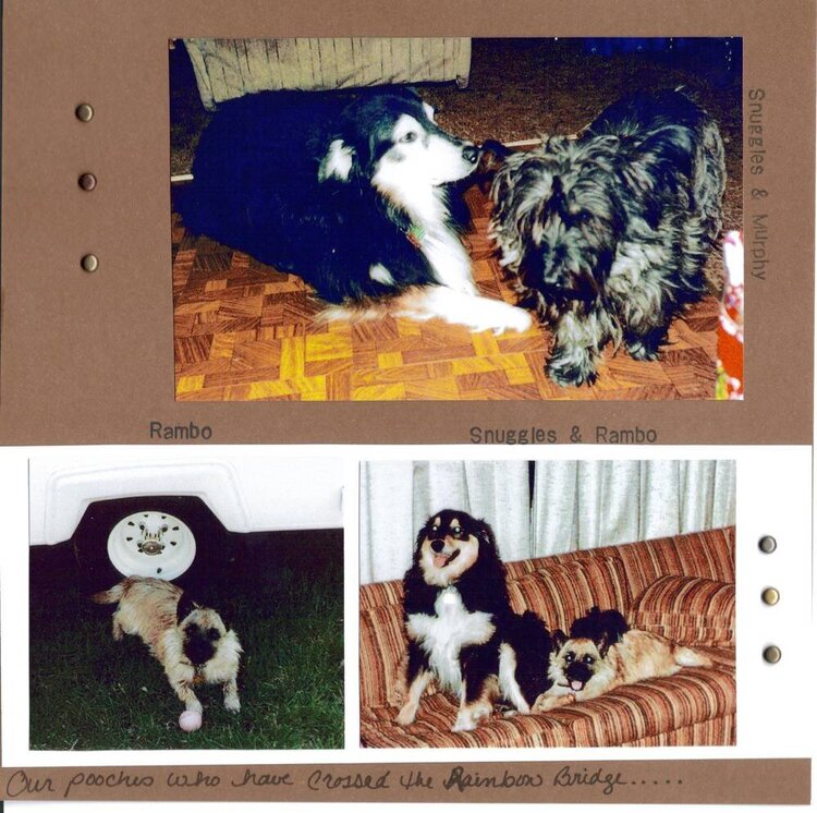 Past Pooches