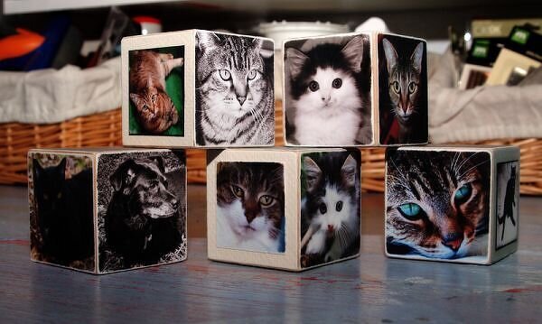 Pet Photo Blocks