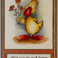 duck