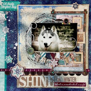 Shine In Winter by Irene Tan