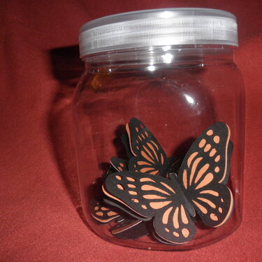 Monarh Butterflies in a Jar