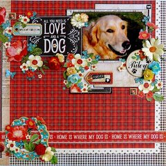 All you need is LOVE and a DOG....a tribute to Riley.