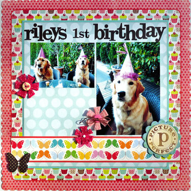 Rileys 1st Birthday