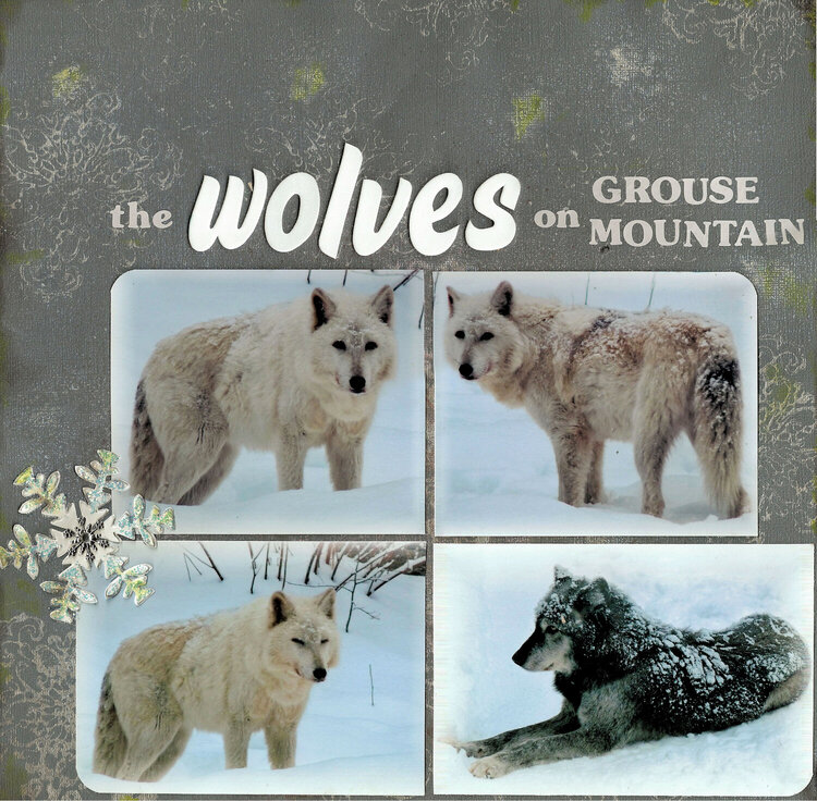 The wolves on Grouse Mountain page 1