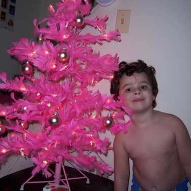 Matthew &amp; my pink christmas tree =]