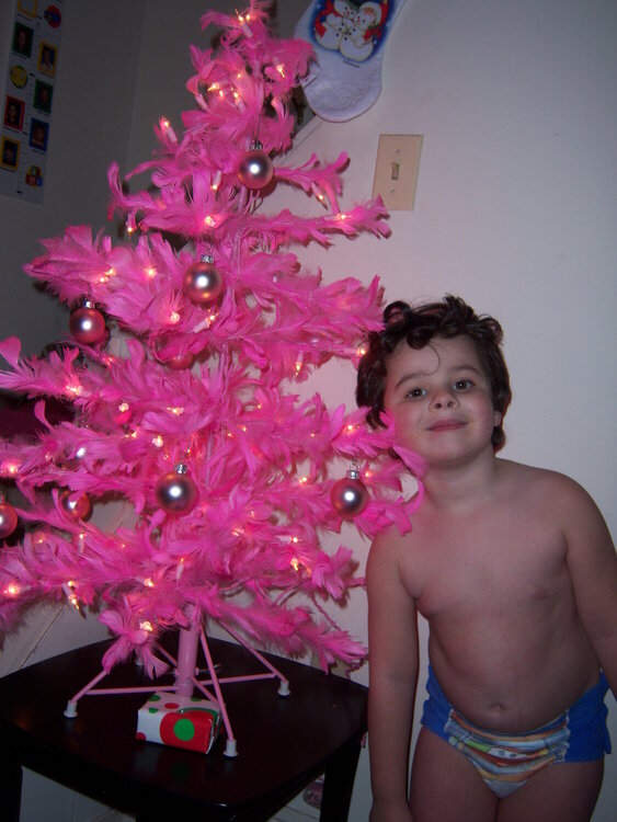 Matthew &amp; my pink christmas tree =]