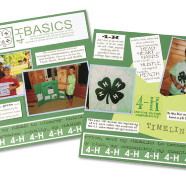 4-H Basics