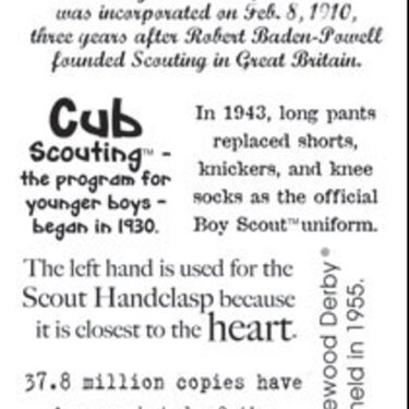 it takes two Boy Scout fact sticker
