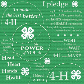 4-H Circle paper from it takes two