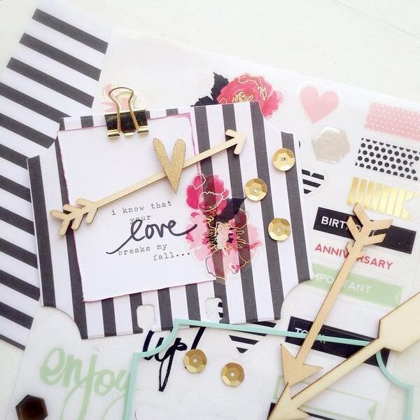 Check out what the Heidi Swapp Media Team has been posing on FB with her Memorydex Collection