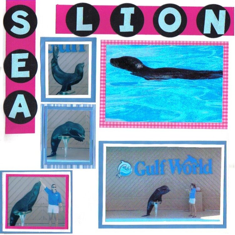 sea lion show (pg. 1)
