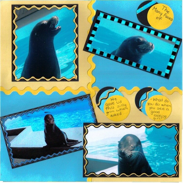 the many faces of the sea lion