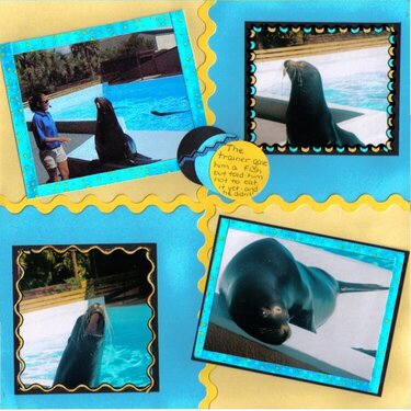 sea lion show