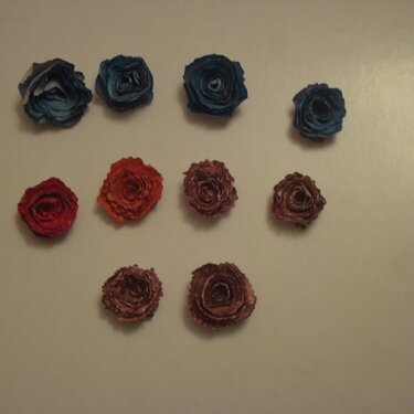 spiral rose flowers