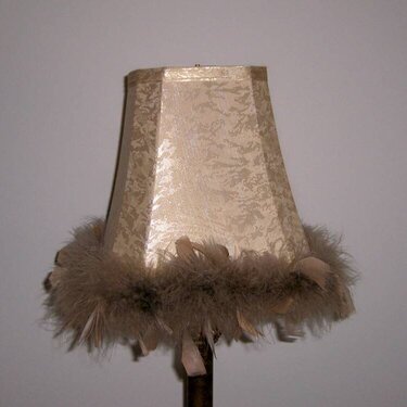 pic of the lampshade in my room