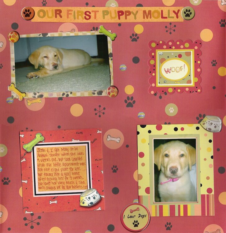 Our first puppy Molly