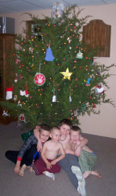 Christmas Tree 2007