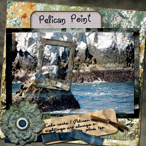 Pelican Point