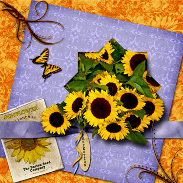 Sunny Sunflowers