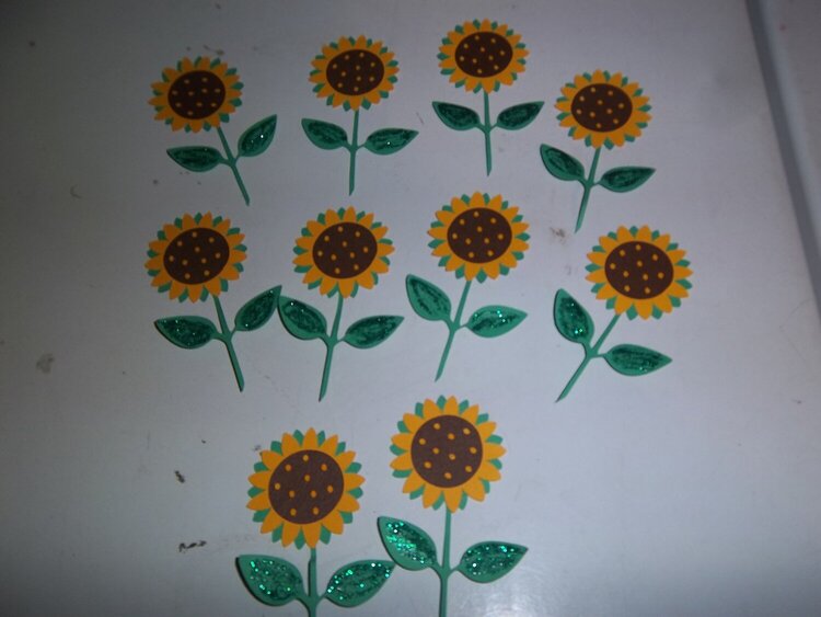 M/M/M Swap - sunflowers