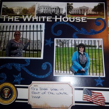 DC - The White House 2