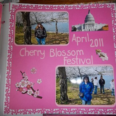 DC - Cherry Blossoms