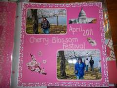DC - Cherry Blossoms
