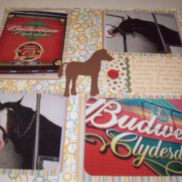 Budweiser Clydesdales LO