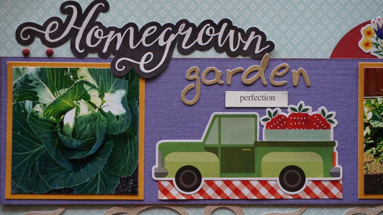 HomeGrown Garden- SBC Sketch