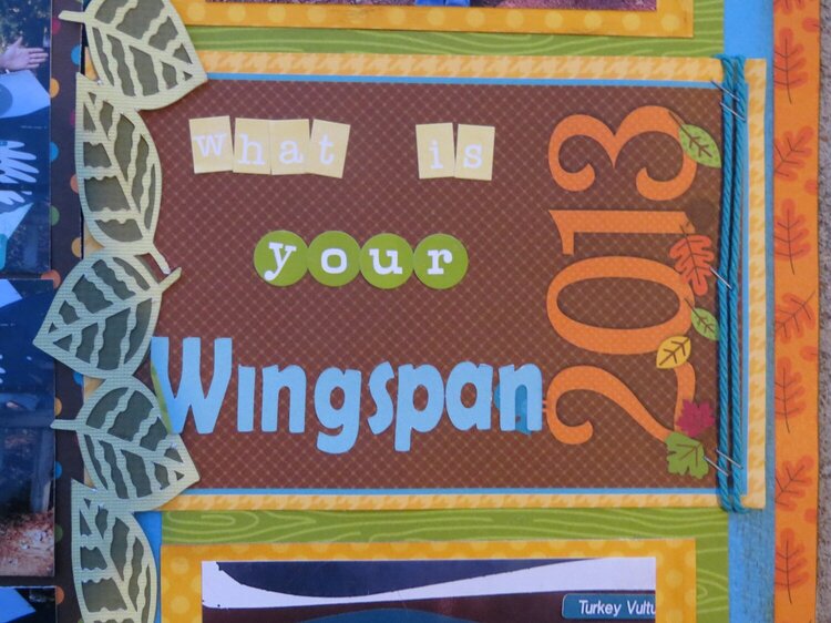 What id your WingSpan