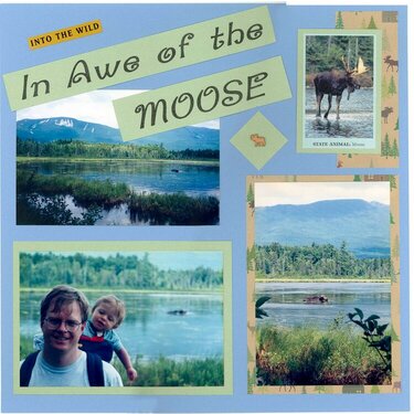 Moose 1