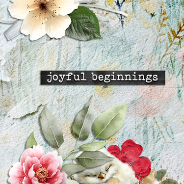 Joyful Beginnings