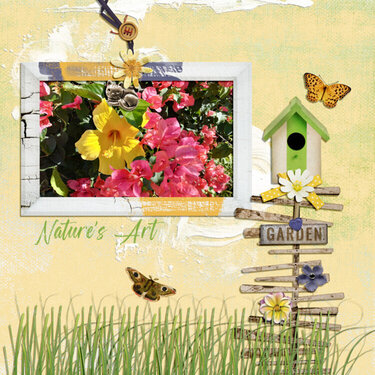 Nature&#039;s Art