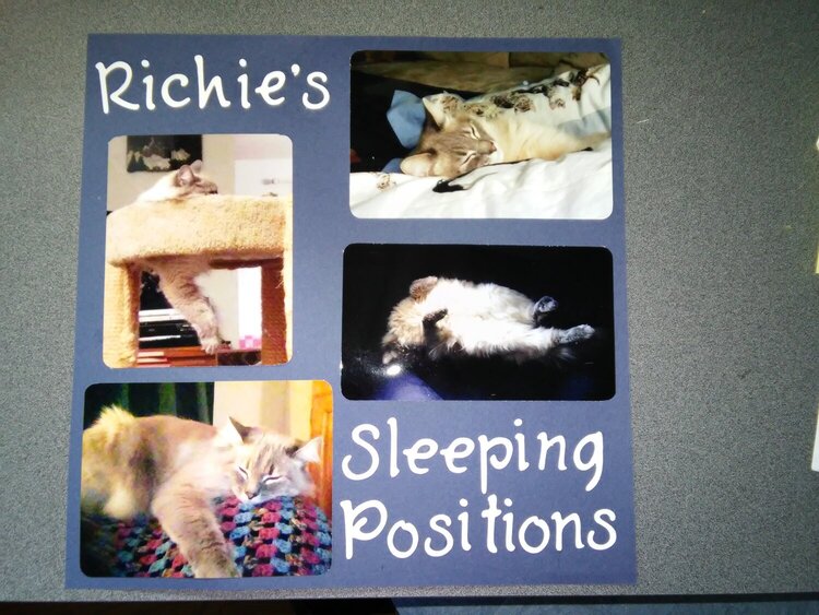 Richie&#039;s Sleeping positions