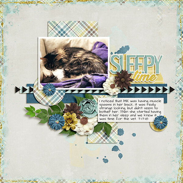 Sleep
