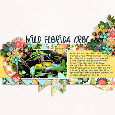 Wld Florida Crocs