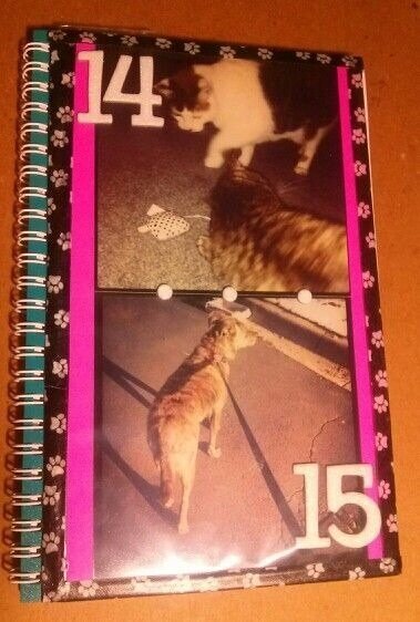 My Planner Cover