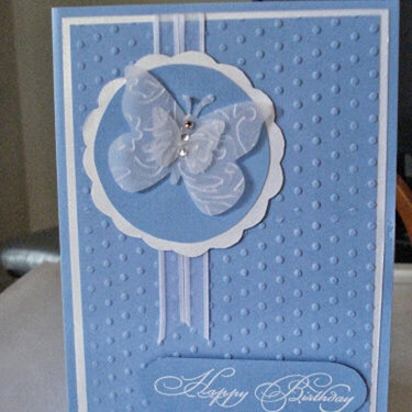 Vellum Butterfly Birthday Card