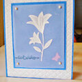 Wedgewood Easter Lily
