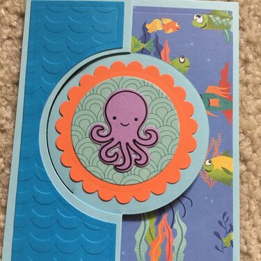 Octopi my heart