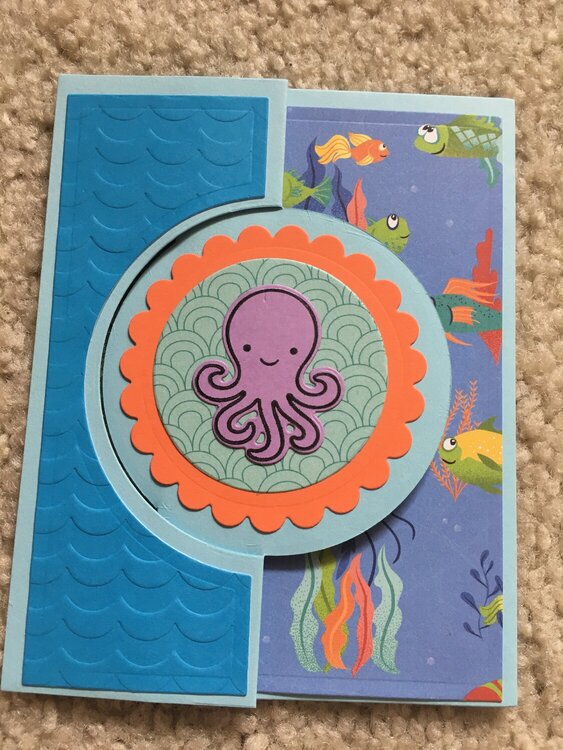 Octopi my heart