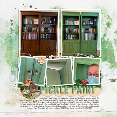 Pickle Paint Shelves